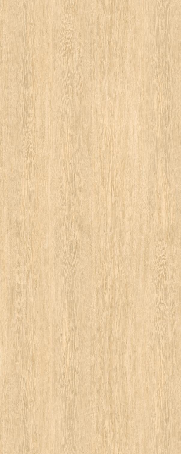 Ash sintered stone texture