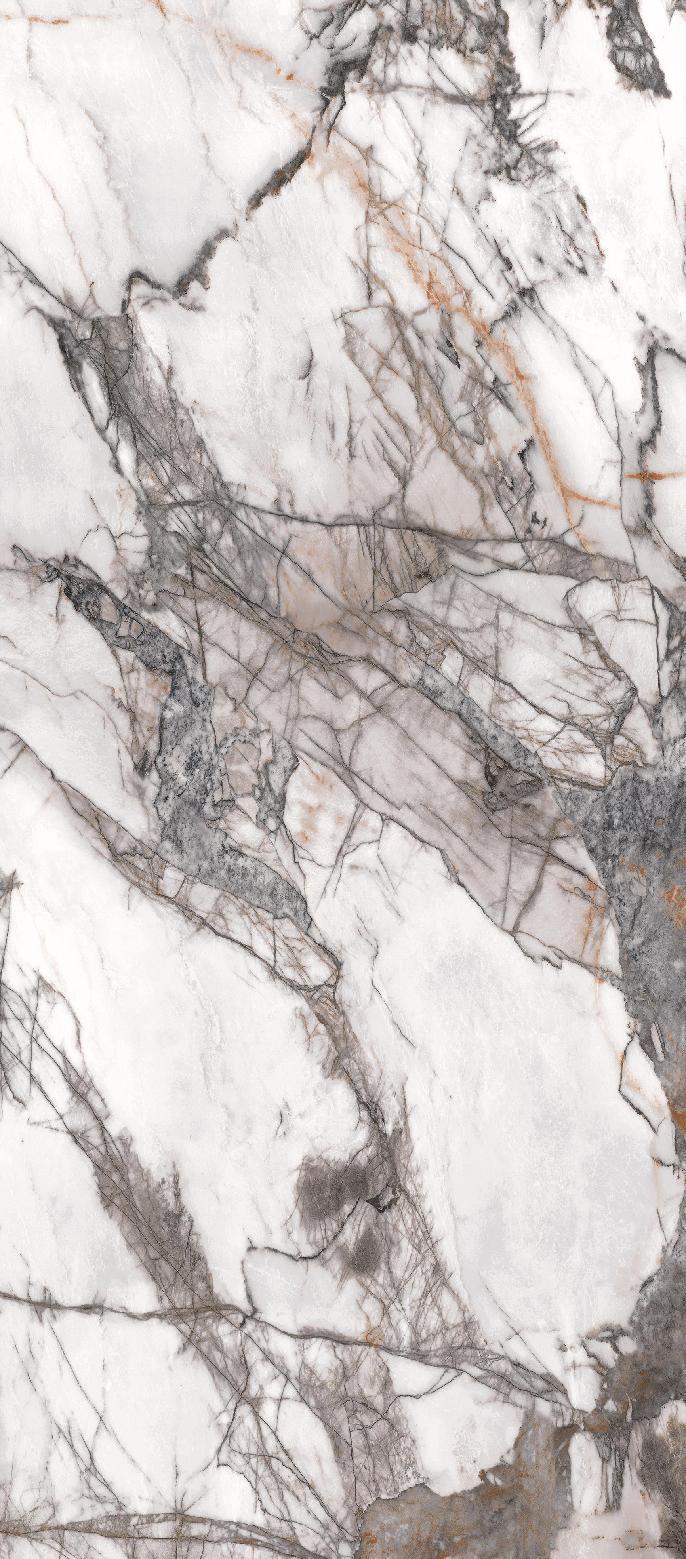 Bird of Paradise sintered stone texture