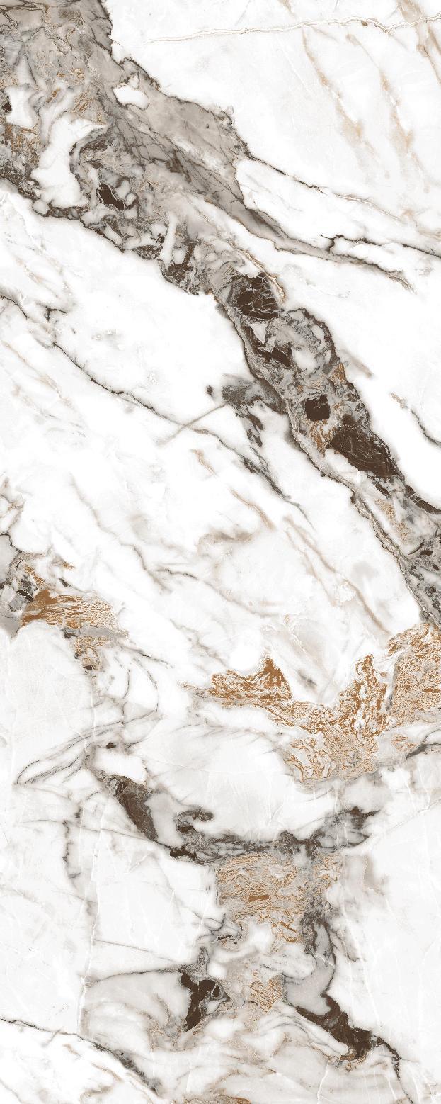 Golden Phoenix sintered stone texture